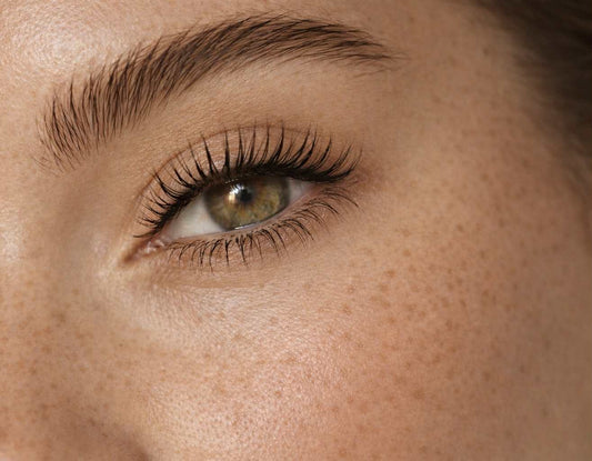 The Rumor Ritual - Aura