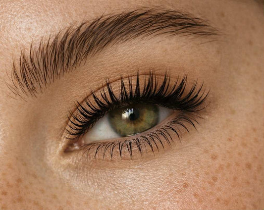 The Rumor Ritual - Rise